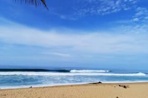 asadero pizzeria virgen del espino