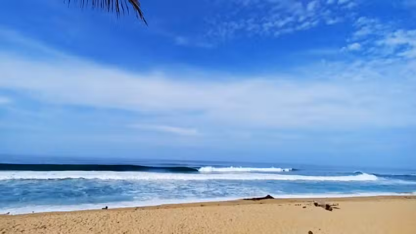 asadero pizzeria virgen del espino