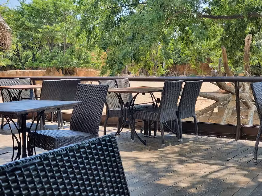 Bioparc Cafetería
