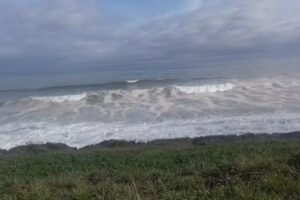 cerveceria pizzeria Maeloc