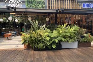 Crep Nova La Maquinista