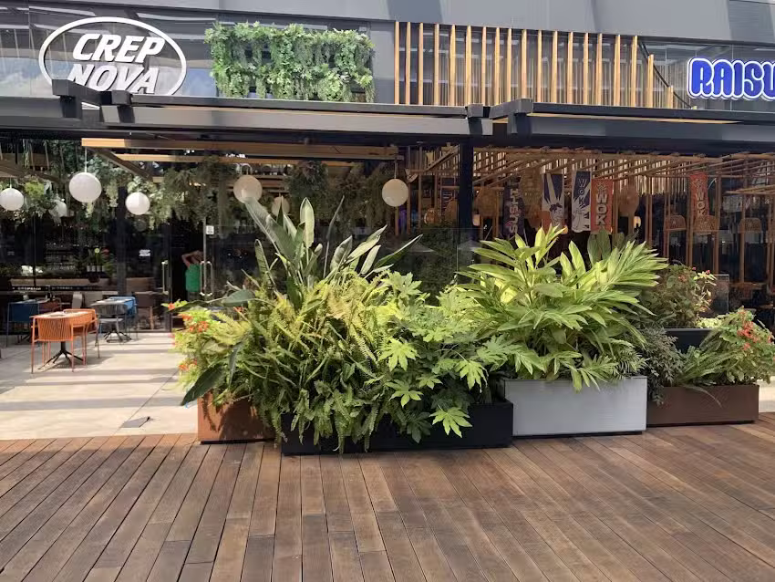 Crep Nova La Maquinista