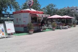 Pizza Box Artesanal S L