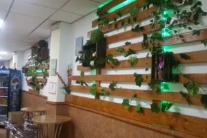 PIZZERIA CENTURIÓN ALCAUDETE