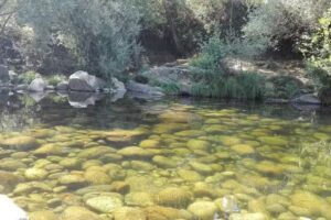 pizzeria el camerino