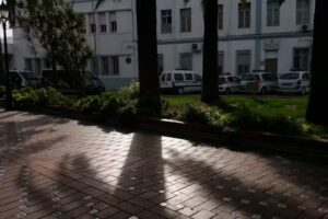 Pizzeria Freiduria Dique Sur