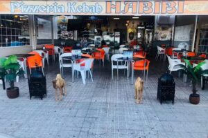 Pizzería Kebab Habibi – kebab en Candelaria