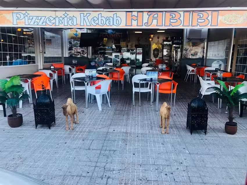 Pizzería Kebab Habibi – kebab en Candelaria