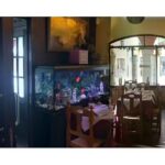 Pizzeria La Capricciosa