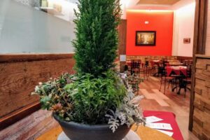 Pizzería Ristorante Terra Nostra – Siete Infantes