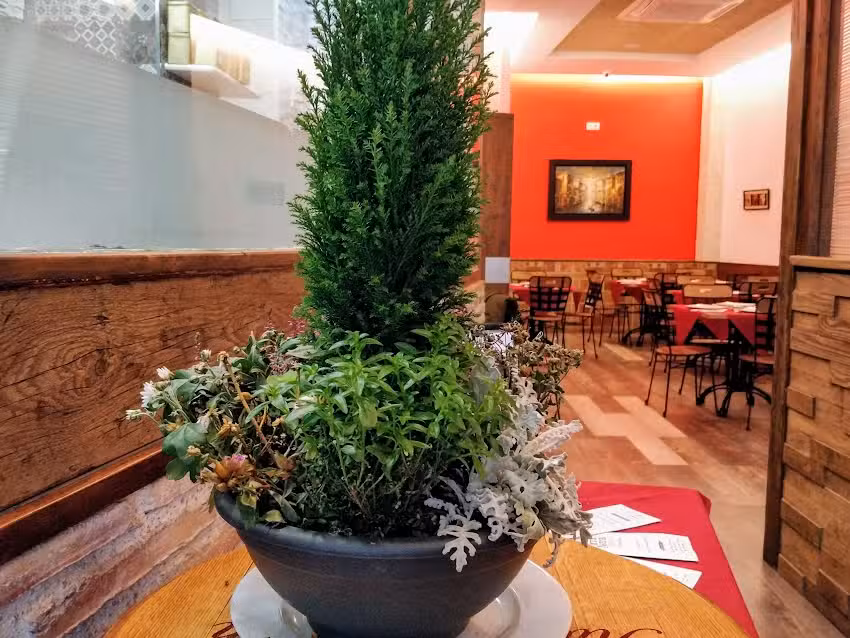 Pizzería Ristorante Terra Nostra – Siete Infantes