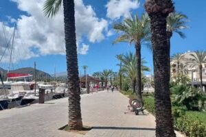 Restaurant Da Vinci I Pizzería 2013 Slu